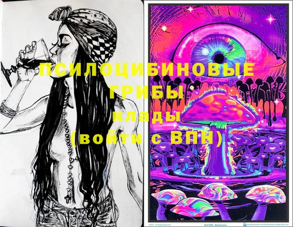 прущие грибы Осташков