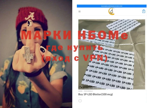 индика Осинники