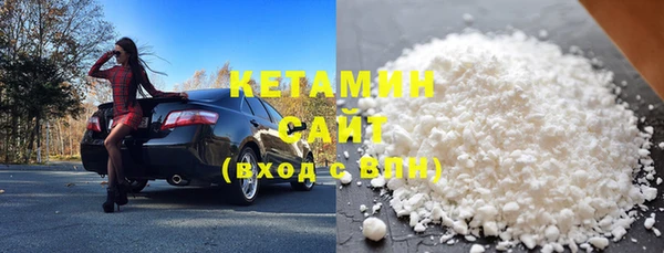 индика Осинники