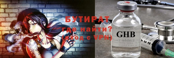 индика Осинники