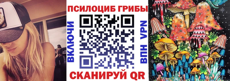 Купить где  Елизаветинская  Псилоцибиновые грибы Cubensis 